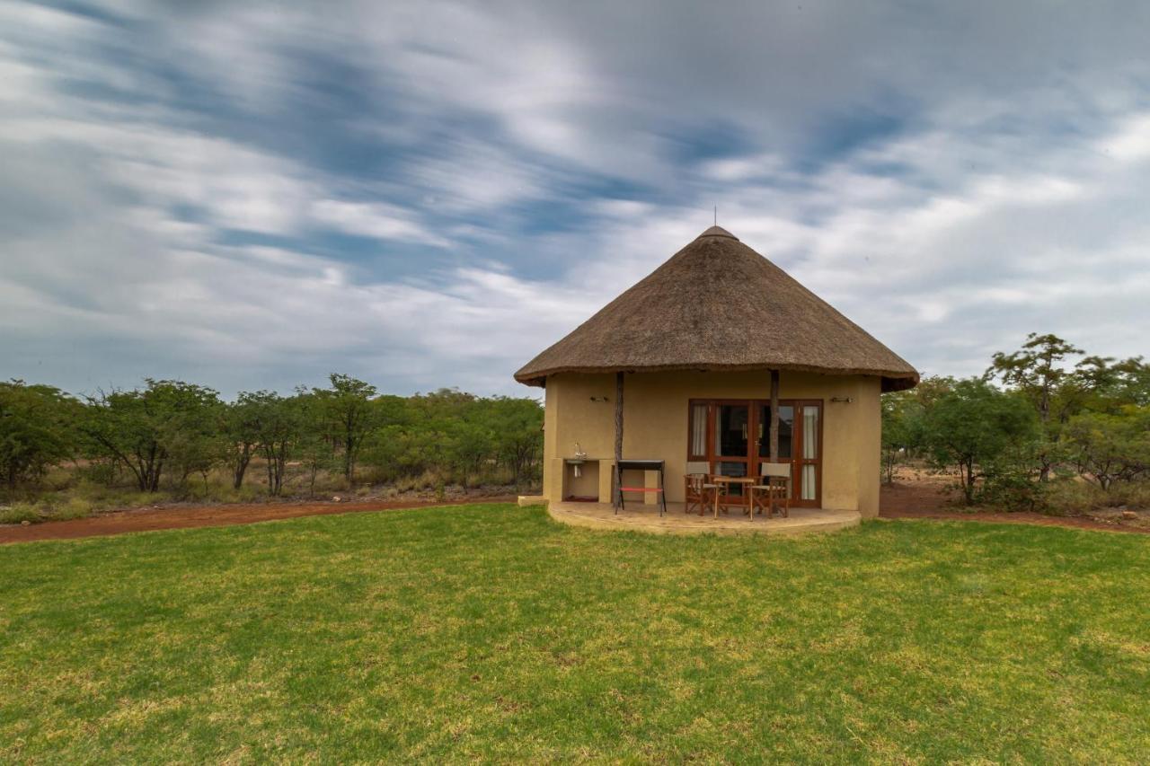 Mopane Bush Lodge Linton Ngoại thất bức ảnh
