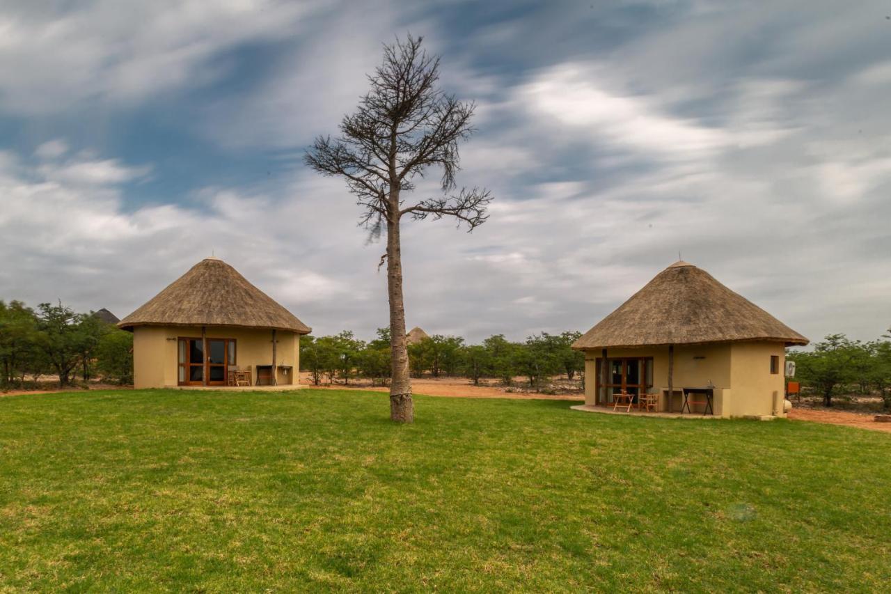 Mopane Bush Lodge Linton Ngoại thất bức ảnh