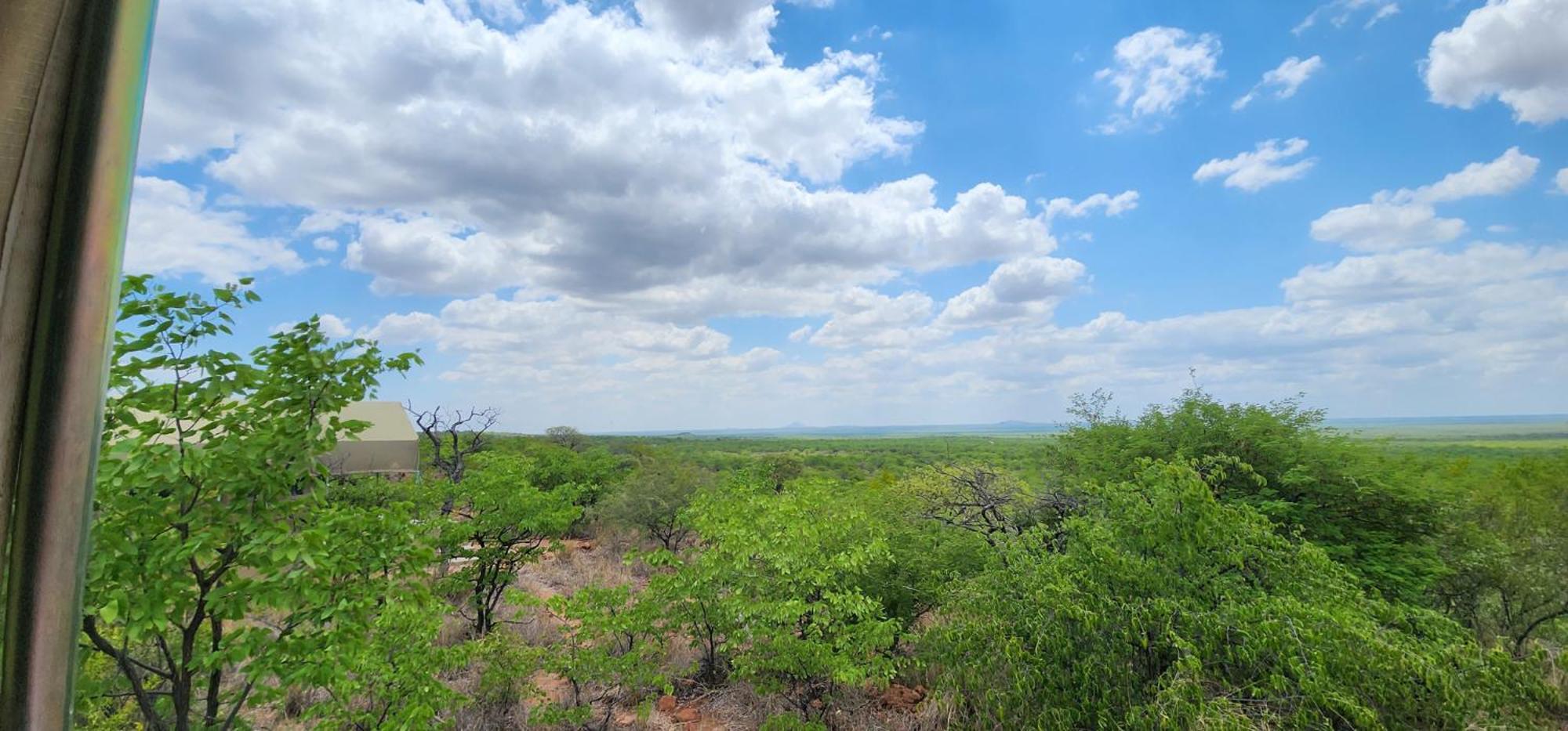 Mopane Bush Lodge Linton Ngoại thất bức ảnh