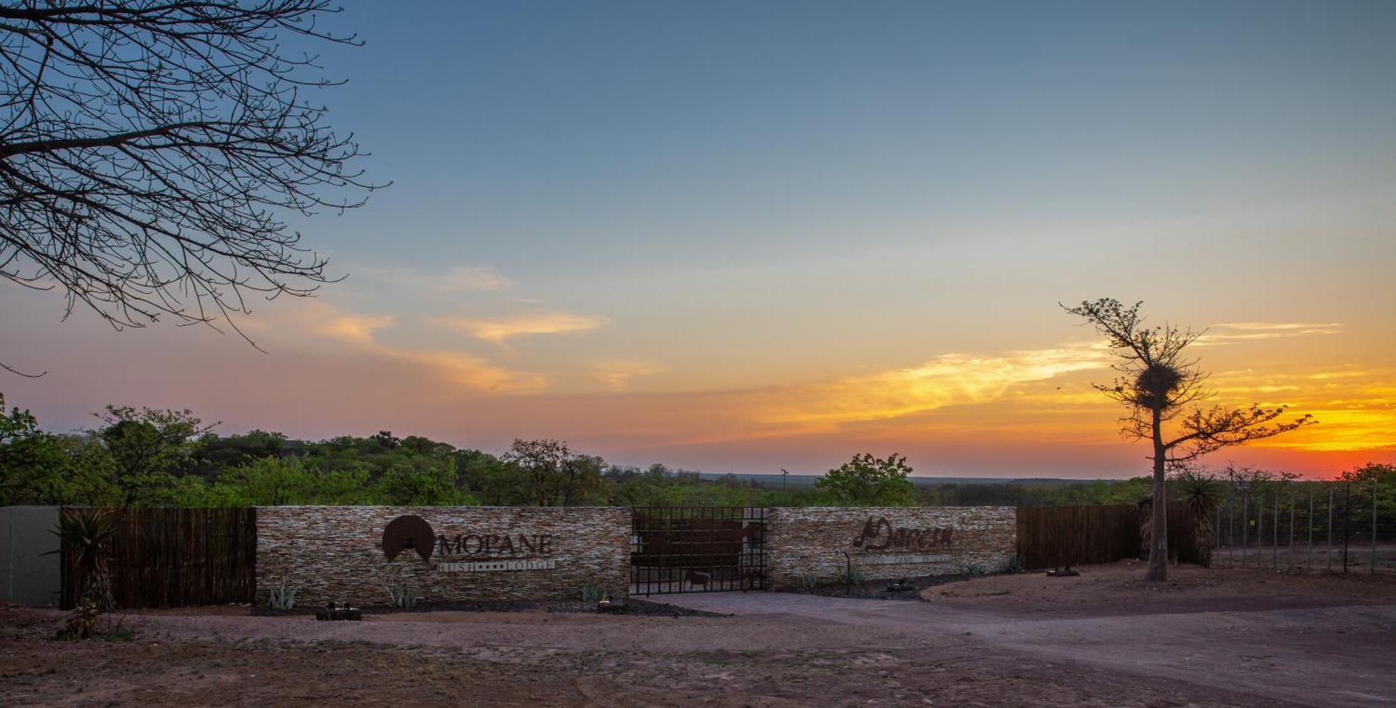 Mopane Bush Lodge Linton Ngoại thất bức ảnh