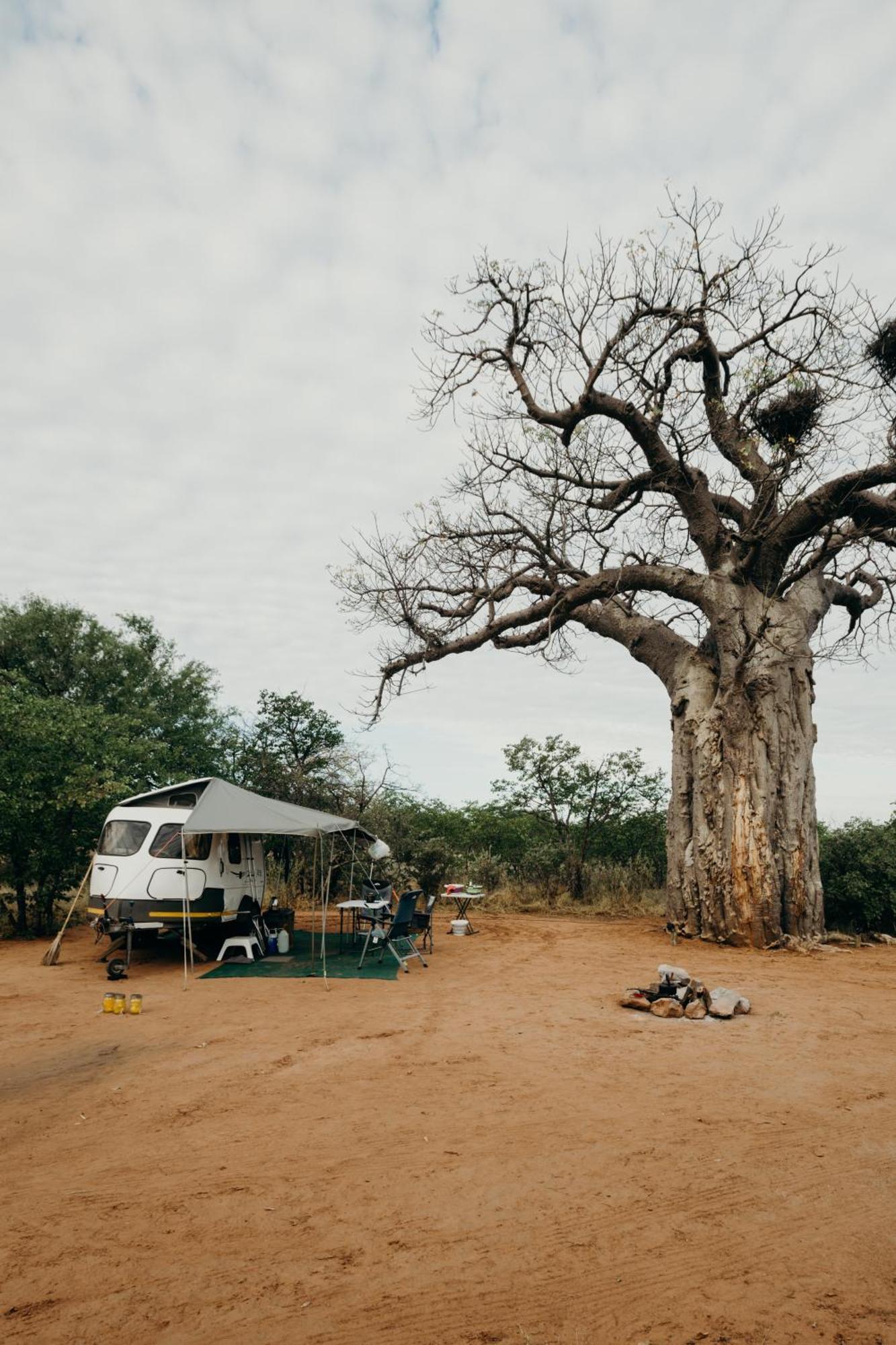 Mopane Bush Lodge Linton Ngoại thất bức ảnh