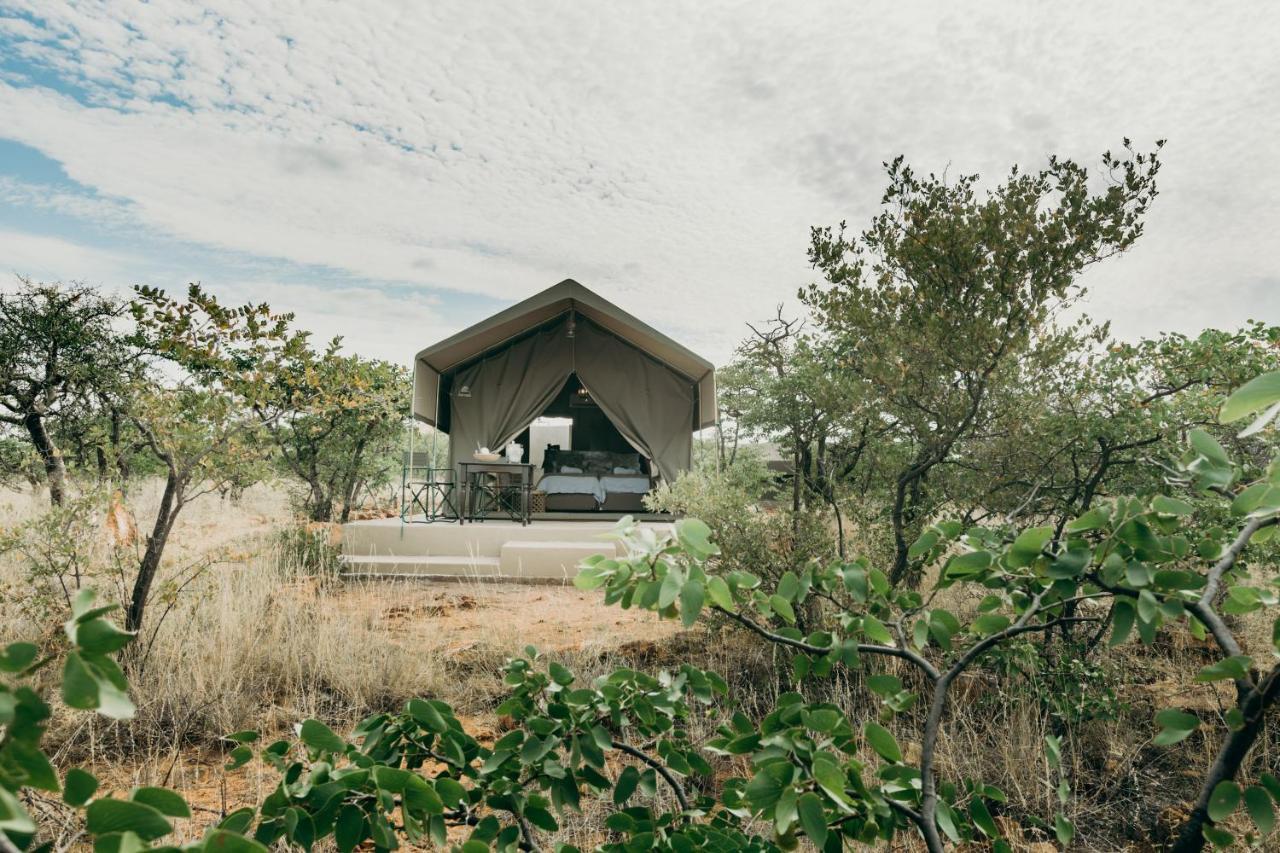 Mopane Bush Lodge Linton Ngoại thất bức ảnh
